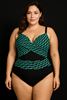 Picture of PLUS SIZE TUMMY CONTROL SWIM SUIT